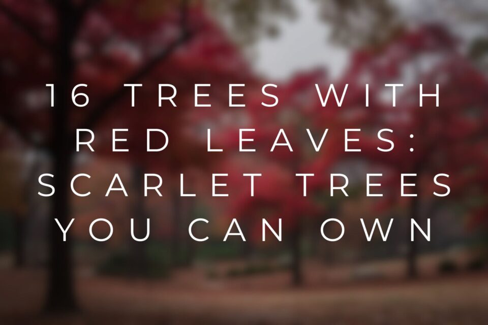 What is the Gardening Zone in Vermont? Planted Shack