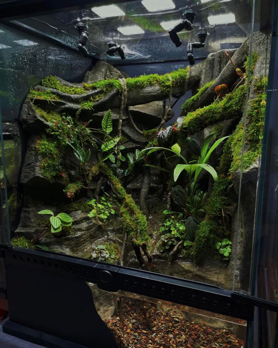 50 DIY Terrarium Ideas That Will Blow You Away - Planted Shack