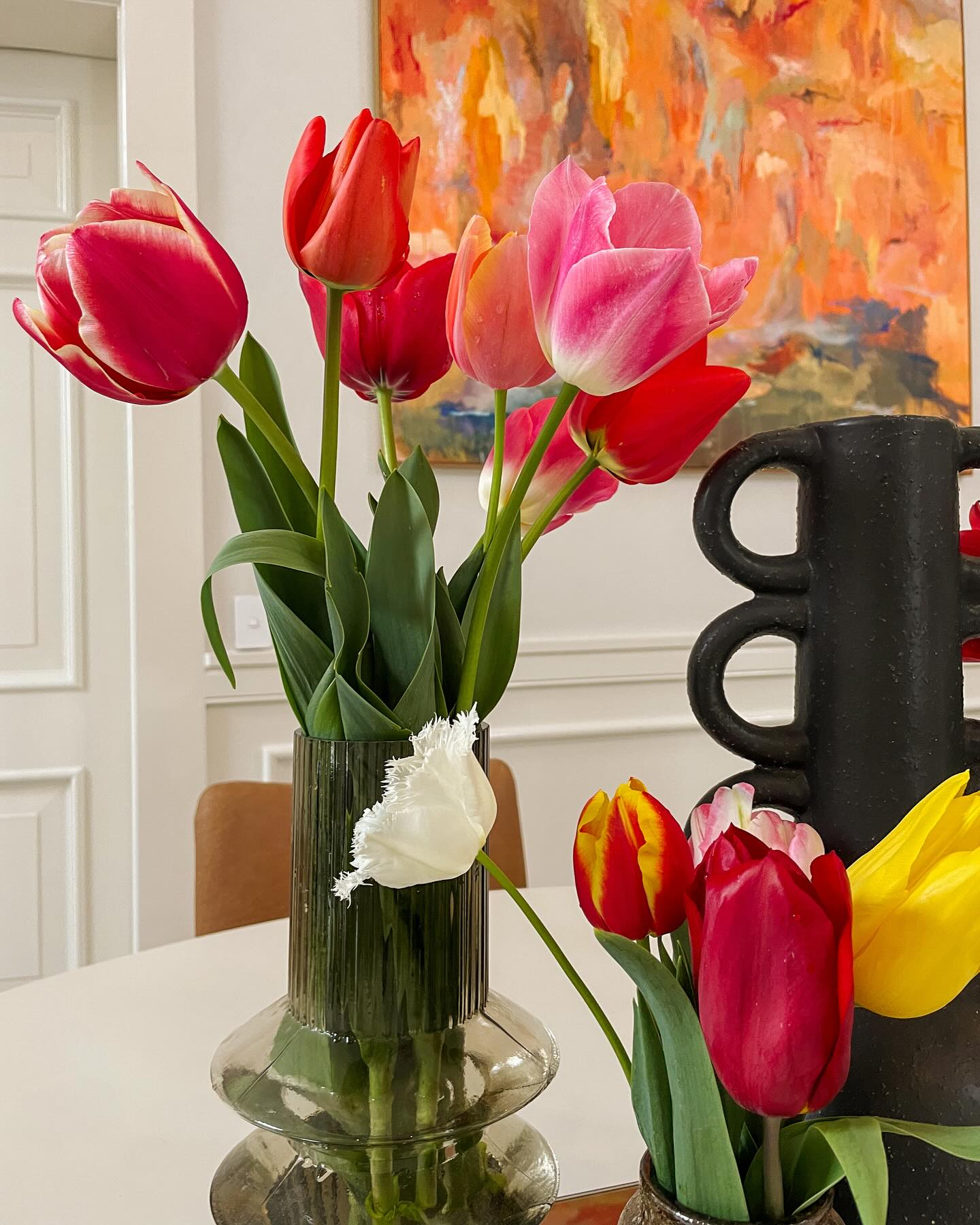 Tulips and Daffodils (Tulipa spp. and Narcissus spp.)